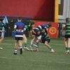 diarmuiddil10