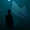 قَـــآسًـــمِ || ١٤٤٦ه‍☪︎.