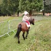 wwwsima.com