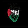 hasanshafie90