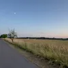 karolka390