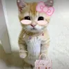 mni_me3