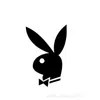 in_love_rabit