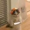 thichchoigame246