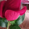 alvarenga8260