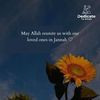 mariya.ameen6