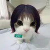 meiimei_01