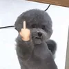 trakhongdungtiktok