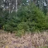 usergqzuysz275