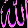 ramy.sultan6