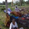 nyoman.suda7