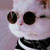 user1972225515027