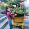 user41816762nguyenng