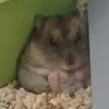 1_tochka