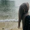 butterflyqueen_128