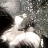 nivi.qqwr