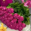 ameer.abuarab