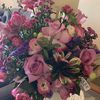 jamila_5550