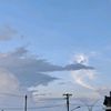 falll_122
