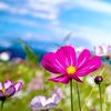 magda.van.der.wal4