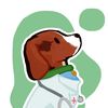 dogtor.beagle