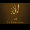 ranajameelahmed964