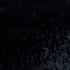 despi_g3