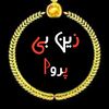 zainbafarva4