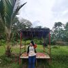 wulanmeilindalestari06