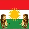 loqman.sndi