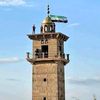 alialhasan9294