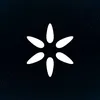 materia.it