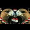 user1810422170845