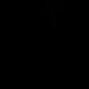poi_799