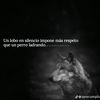usereq5x3chbka