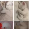 tasnemfares4