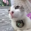 tojiikun0