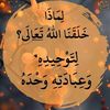 user3519496119270
