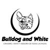bulldogandwhite