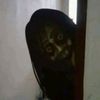 mckuzz4