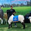 heruwitanto982