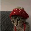 syraasukastrawberry