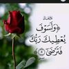 user47392360387