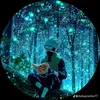 patchandluna_