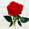 nguyenthuy2341
