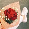 janan.375