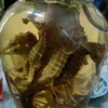 duyen_007_1988