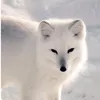 hiro130221
