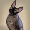 user5qkt4gcsyu