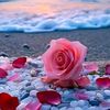 tahrour.asmaa